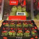 Exsa fruitlabels
